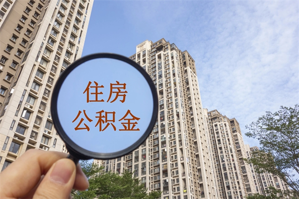 公积金还看征信吗吗_厦门公积金代办在职离职封存服务